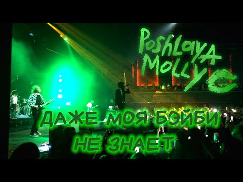 Видео: Пошлая Молли - Даже моя бэйби не знает (Гигант Холл Спб 09.01.22)