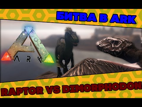 Видео: Битва в ARK Survival Evolved|Диморфодон против Раптора|Dimorphodon vs Raptor