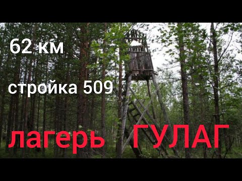 Видео: Лагерь ГУЛАГА в лесу