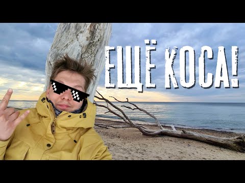 Видео: Пешком по Косе от Зеленоградска. Дюны, море, Королевский бор.