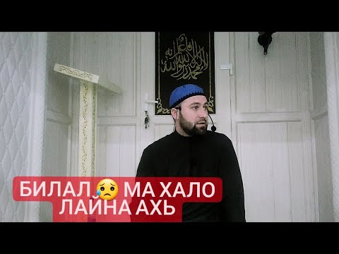 Видео: Хьехам (Билал Мол) дог делхош дицар