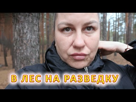 Видео: VLOG Ужин на мангале с детьми на базе отдыха