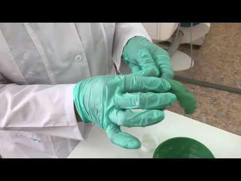 Видео: замешивание альгинатной массы