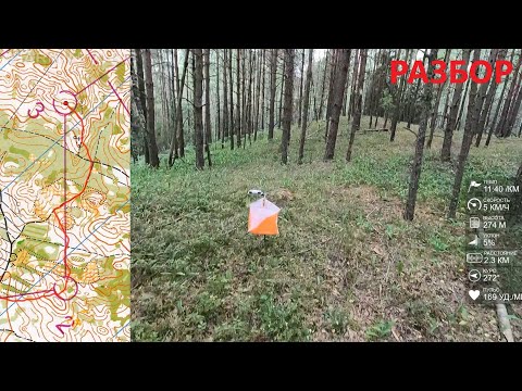 Видео: Спортивное ориентирование (headcam orienteering) - Кубок Клубов 2023, Олешники, Беларусь - 22.07.23