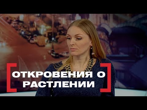 Видео: Откровения о растлении. Касается каждого, эфир от 28.04.2017