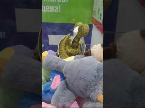 Видео: Два дня ходили за змеей.