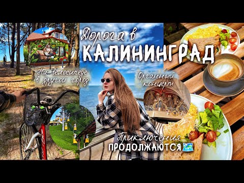 Видео: Дорога в Калининград: приключения продолжаются🗺️