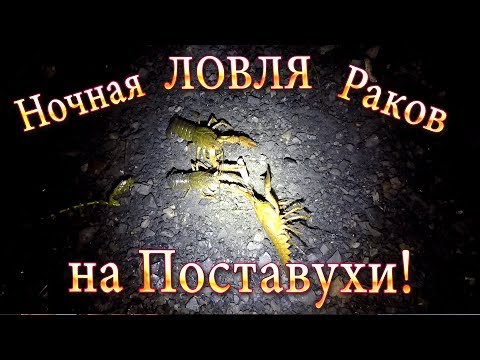 Видео: Рак! Ночная Ловля Раков на Поставушки - или как Найти Раков в Водоеме!!!