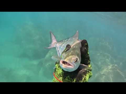 Видео: Жизнь на балконе круглый год,рыба в море.The old man and the sea + life on the balcony!