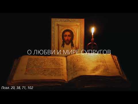 Видео: 7.  О любви и мире супругов