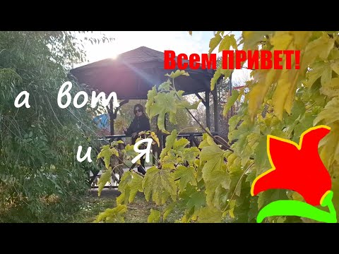 Видео: Всем Привет а вот и Я! Мой завтрак, прогулка по 7 мкр , розовый закат