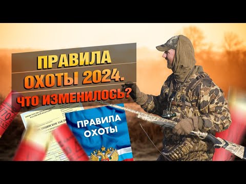 Видео: Охота 2024! Что Изменилось?