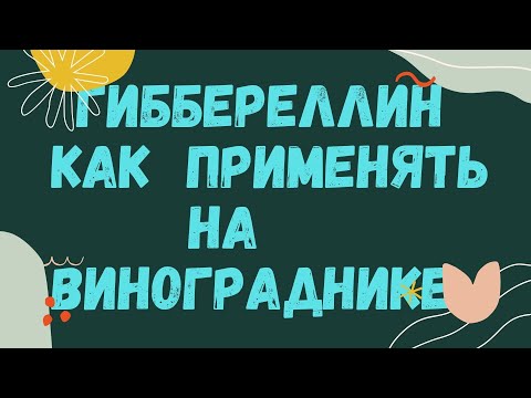 Видео: Использование гиббереллина  на винограднике.