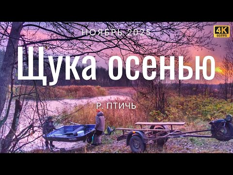 Видео: Ловим щуку поздней осенью на джиг и воблеры на реке Птичь в Беларуси 