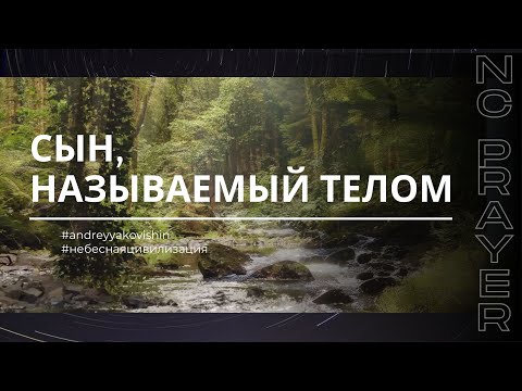 Видео: СЫН, НАЗЫВАЕМЫЙ ТЕЛОМ ✦ МОЛИТВА ✦ Андрей Яковишин ✦ @Nebesnaya_civilizacia ✦ Молитвенная Практика