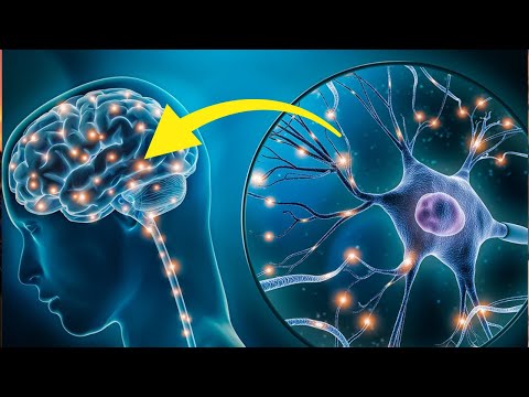 Видео: 7 причин, по которым у мужчин-сигм высокий IQ