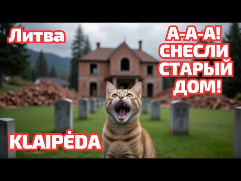 Видео: Полоса важнее истории? Klaipėda Литва #литва #klaipėda