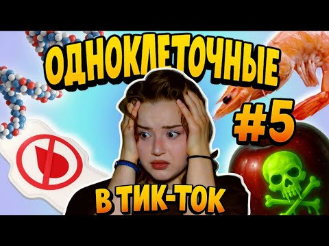 Видео: ОДНОКЛЕТОЧНЫЕ В ТИК-ТОК #5 | ОТМЕНА МЕСЯЧНЫХ, ПАРАЗИТЫ, КОЛЛАГЕН И ТОКСИЧНЫЕ ФРУКТЫ