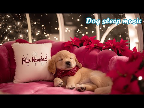 Видео: Музыка для глубокого сна собак 🐶⭐ Антистресс музыка для собак 🎵 Музыка поможет вашей собаке уснуть