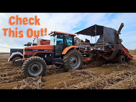 Видео: Картофелеуборочный комбайн для молоди, изготовленный на заказ