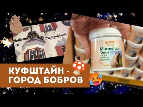 Видео: Куфштайн - город бобров 🦫🎫 билет на гору в один конец 🥵🍄🍁 еле слезли #австрия 
