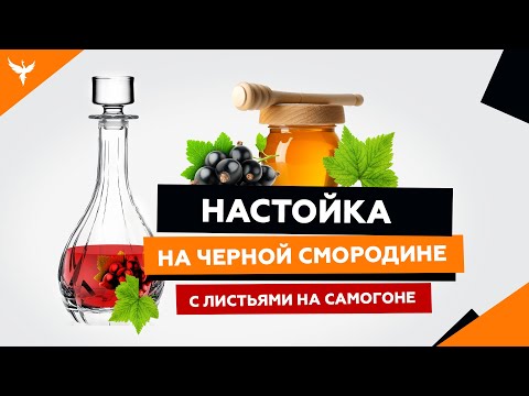 Видео: рДЖ 18: Настойка на черной смородине с листьями на самогоне