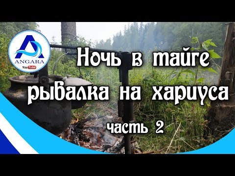 Видео: Ночь в тайге. Ловля хариуса. День рыбака. Часть 2.
