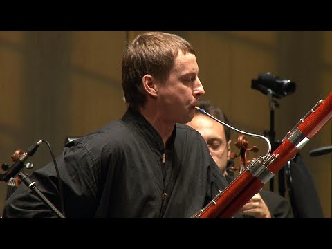 Видео: VIVA VIVALDI. КОНЦЕРТ ДЛЯ ФАГОТА С ОРКЕСТРОМ ми-минор