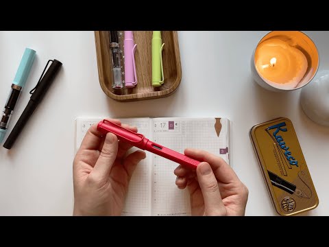 Видео: Моя коллекция перьевых ручек | planmarzipan