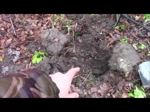 Видео: С такими находками можно закрывать сезон!