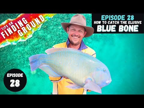 Видео: КАК ПОПОЙМАТЬ НЕУЛОВИМУЮ СИНЮЮ КОСТЬ | Finding GROUND - Эпизод 28