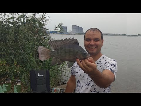 Видео: АТОМНАЯ РЫБА ЧЕРНОЗЕМЬЯ ! ПРУД ОХЛАДИТЕЛЬ АЭС РАЗДАЁТ ВСЁ ПОДРЯД ! #рыбалка2021