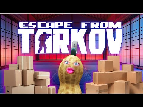 Видео: Первый день возвращения Пинат в додзё