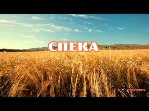 Видео: 🟡 Слова про серпень | Читання для дітей 5–7 років | Літня лексика