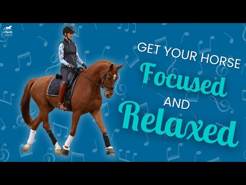 Видео: Счет для ритма и расслабления