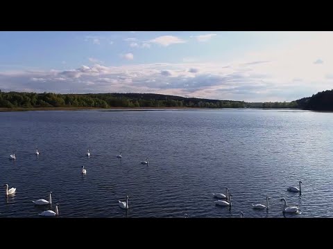 Видео: Екологічне відновлення річки Ягорлик, притоки Дністра