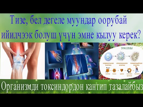 Видео: Тизе дегеле муундар оорубай ийилчээк болуш үчүн эмне кылуу керек? Ашказанды дартка чалдыктырбоо