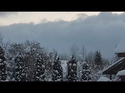 Видео: Мои будни и выходные. Покупки для кухни. Готовлю в мультиварке, убираю снег и отдыхаю😀