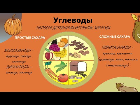 Видео: Урок 5. Углеводы и "ненужное" в кормах.