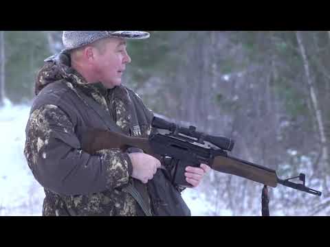 Видео: Охота на лося: трагическая гибель лайки