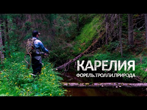 Видео: Карелия: Рыбалка на форель, ночевка в палатке и мифические тролли.
