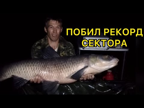Видео: ЧЕРНЫЙ АМУР