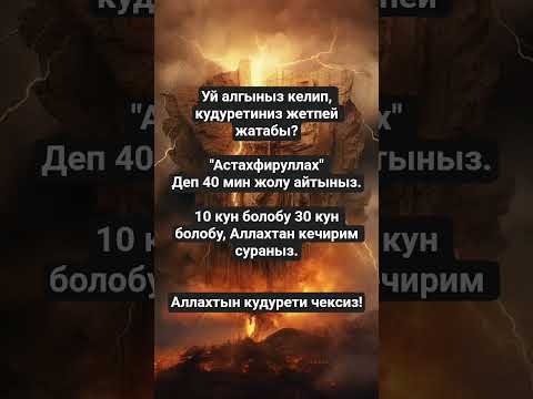 Видео: 12 ноября 2025 г.