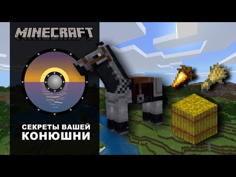 Видео: Minecraft и лошади - секреты вашей конюшни