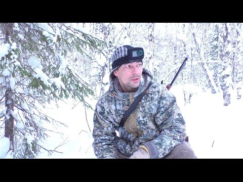 Видео: ИДУ ПО СЛЕДАМ ЛОСЕЙ / СДЕЛАЛ КРУГ, ВЫХОДА НЕТ! ВСЁ ИНТЕРЕСНЕЕ И ИНТЕРЕСНЕЕ / ОХОТА НА ЛОСЯ В ТАЙГЕ.