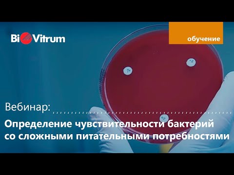 Видео: Вебинар "Определение чувствительности бактерий со сложными питательными потребностями"