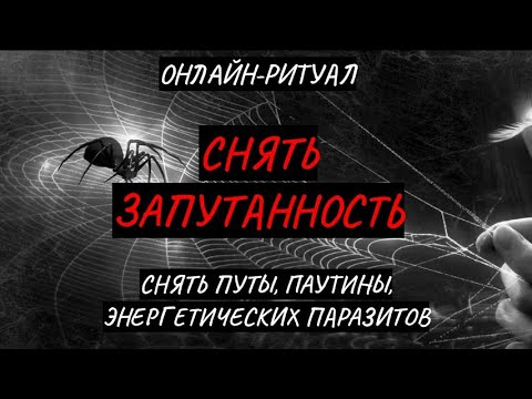 Видео: 🔥СНЯТЬ ЗАПУТАННОСТЬ, ВЫЙТИ ИЗ ЗАСТОЯ l ОНЛАЙН-ЧИСТКА С ОБРАТКОЙ🔥