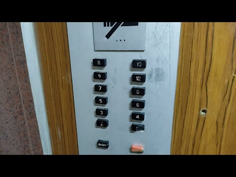 Видео: Лифты-ЗАЛИПАЙКИ! АС-72! Лифты (МОЭЛЗ-1979 г.в), город Химки, (Куркино), Куркинское шоссе 8 подъезд 1