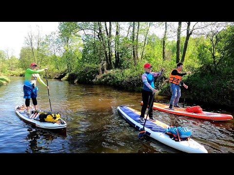 Видео: Черёмуховая прогулка по реке Цна 13052023