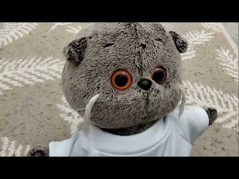 Видео: Уборка активный день с Догом!